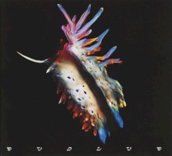 Evolve