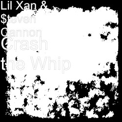 Crash the Whip