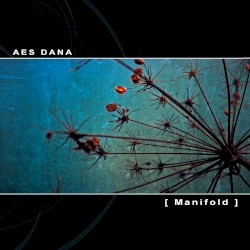 Manifold