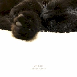 Lullabies For Cats