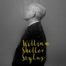 Stylus