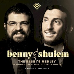 The Rebbi's Medley (The Songs of Yitzy Waldner)