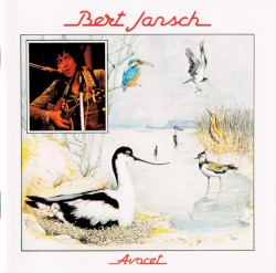 Avocet
