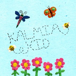 Kalmia Kid