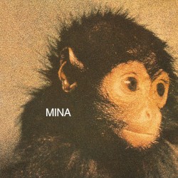 Мина