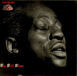 Big Bill Broonzy