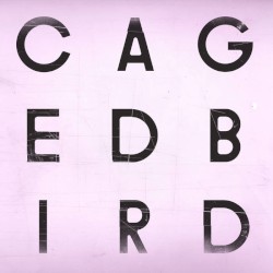 A Caged Bird / Imitations of Life