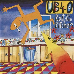 Rat in the Kitchen