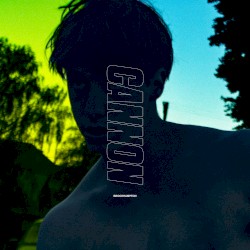 CANNON