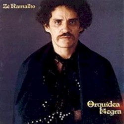 Orquídea negra