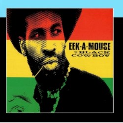 Black Cowboy