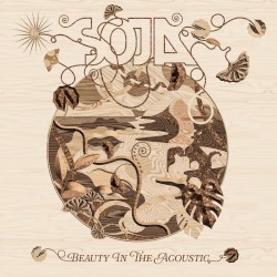 Beauty in the Acoustic