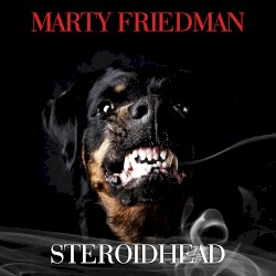 Steroidhead