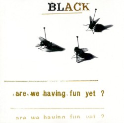 Are We Having Fun Yet?