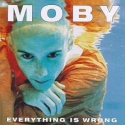 Everything Is Wrong