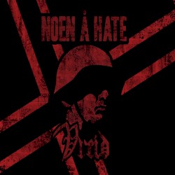 Noen å hate
