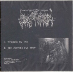 Towards My End / The Castles Far Away
