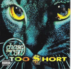 Chase the Cat