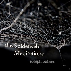 The Spiderweb Meditations