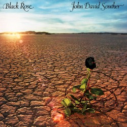 Black Rose