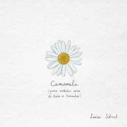 Camomila