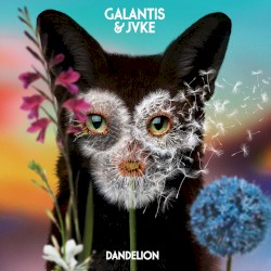 Dandelion