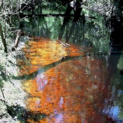 Black Water (E)