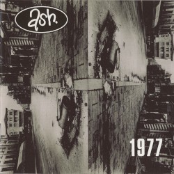 1977
