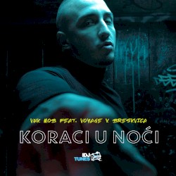 Шаги в ночи