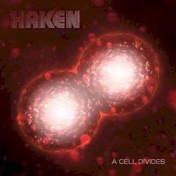A Cell Divides