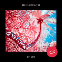 Get Low (Kuuro remix)