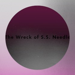 The Wreck of S.S. Needle