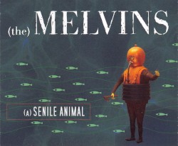 (A) Senile Animal