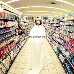 The Perfect Life