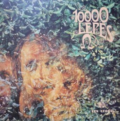 10000 шагов