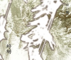 白い鴉