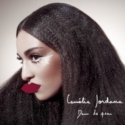 Dans la peau (edit radio)