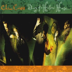 Diary of a Hollow Horse