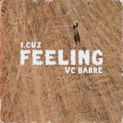 FEELING