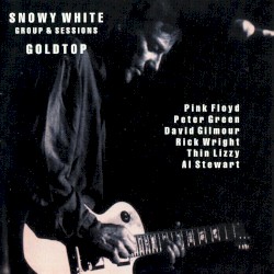 Goldtop: Groups & Sessions 1974–1994