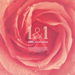 1&1