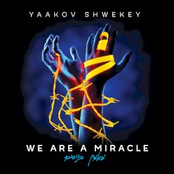 We Are a Miracle