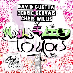 Would I Lie to You (Cash Cash remix)