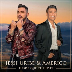 Desde que te fuiste