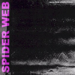 Spider Web