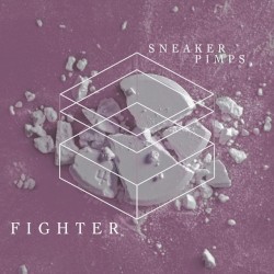 Fighter