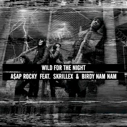 Wild for the Night