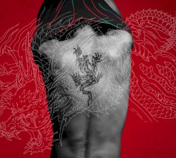 羽