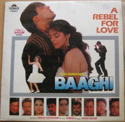 Baaghi