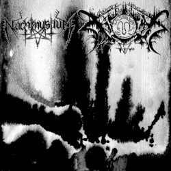 Nachtmystium / Xasthur
